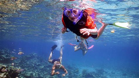 Discovering the Delights of Pristine Shorelines and Lucid Aquatic Depths