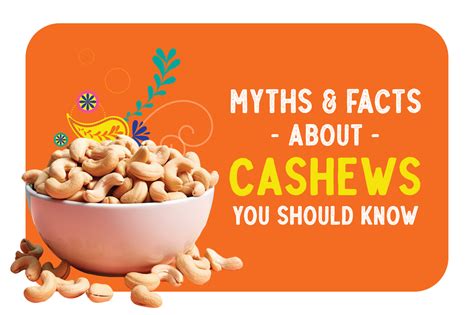 Discovering the Lesser-Known Facts and Myths about Cashews