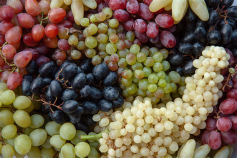 Discovering the Perfect Grape Variety for Your Ultimate Harvesting Vision