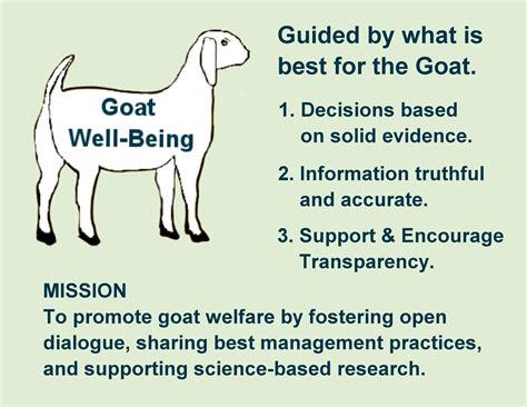 Discovering the Therapeutic Effects of Goats on Stress Reduction and Mental Well-being