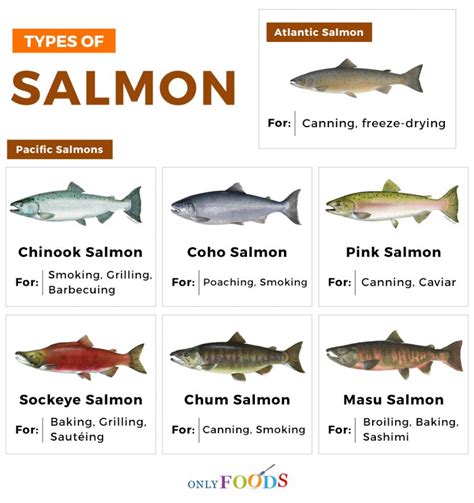 Discovering the Varied Varieties: From Tuna to Salmon