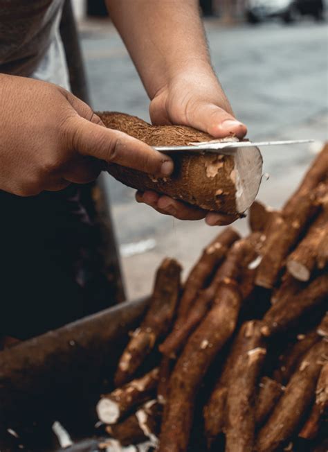 Discovering the Versatility of Cassava in Culinary Delights