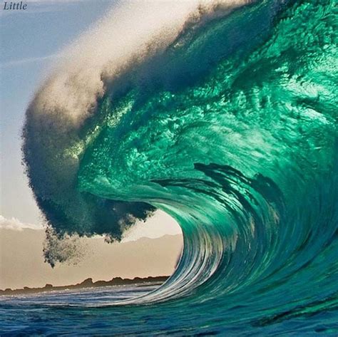 Dive into the World of powerful ocean waves