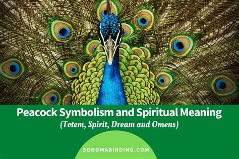 Divine Connections: The Peacock in Mythology and Religion