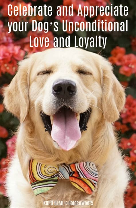 Dog Symbolism: Loyalty, Protection, and Unconditional Love