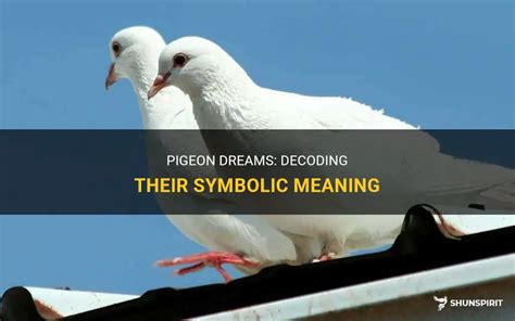 Dream Interpretation: Decoding the Significance of a Pigeon Assault