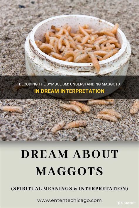 Dream Interpretation: Understanding the Symbolism of Baby Maggots