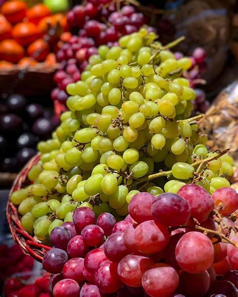 Dreaming About the Delectable Crunch of Sun-Drenched Grapes