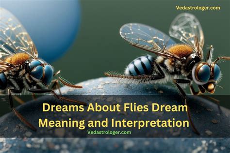 Dreaming of Flies and Mosquitoes: Interpretations and Messages