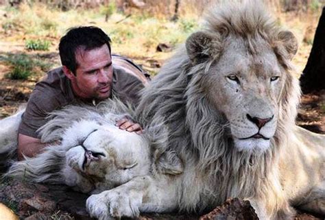 Dreaming of Friendships: The Miraculous Connection Between Humans and Lions