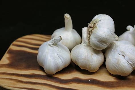 Dreaming of Garlic: An Unexpected Symbol of Abundance