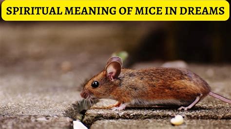 Dreaming of Mice: Uncovering the Symbolism of Prosperity and Resourcefulness