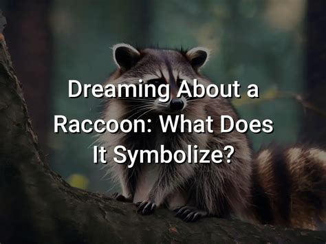 Dreaming of Racoon Visitors: What Does It Mean?