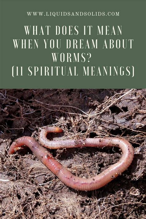 Dreaming of Worms: What Does It Signify?