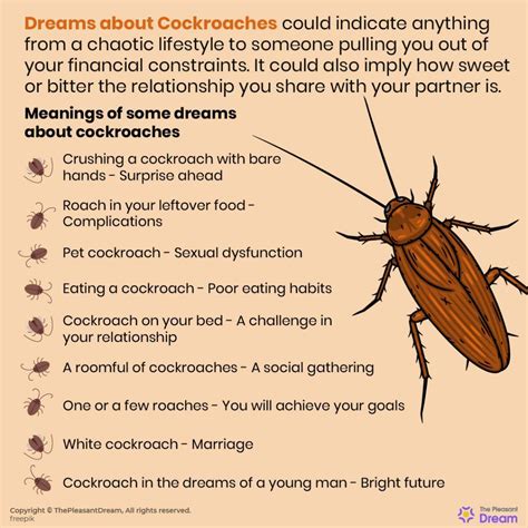 Dreaming of a Cockroach Attack: Decoding its Significance