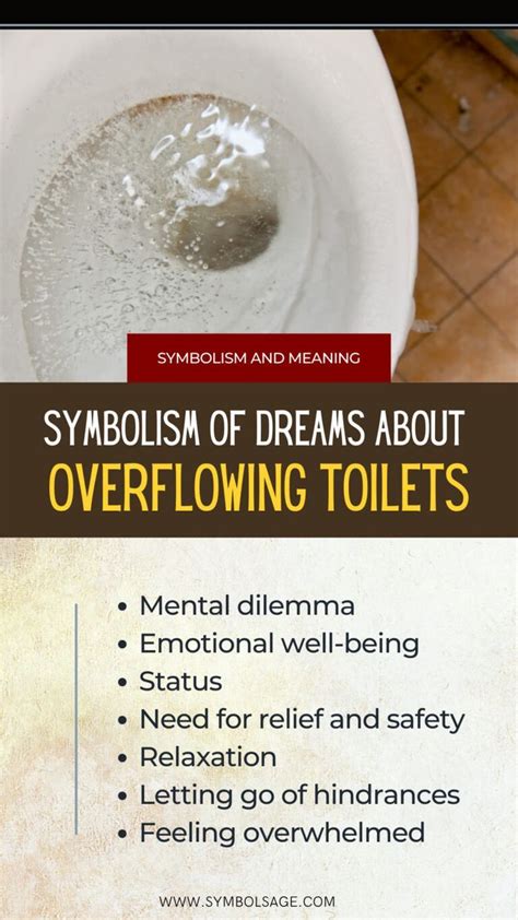 Dreaming of a Full Toilet Tank: Overwhelm or Abundance?