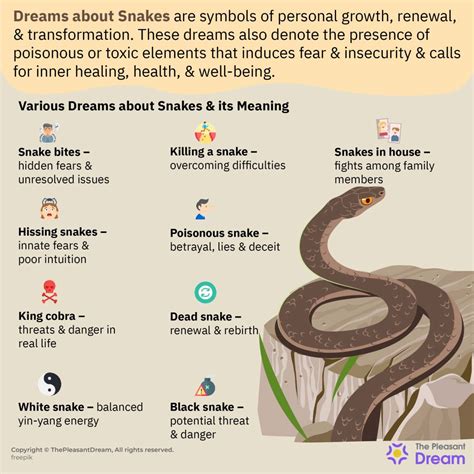 Dreaming of a Tiny Serpent: Symbolic Significance and Signification