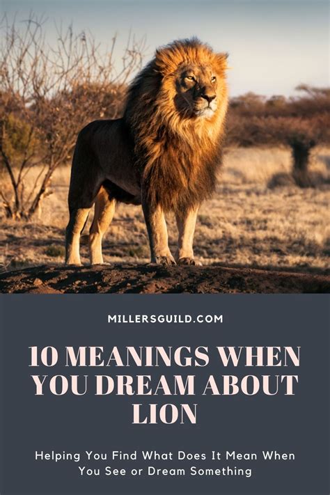 Dreams Involving Ill Lions: What Do They Signify?