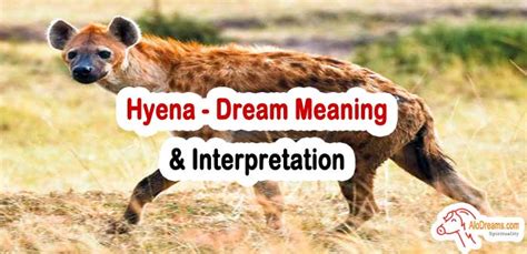 Dreams of Being Pursued by Hyenas: Common Meanings and Explanations