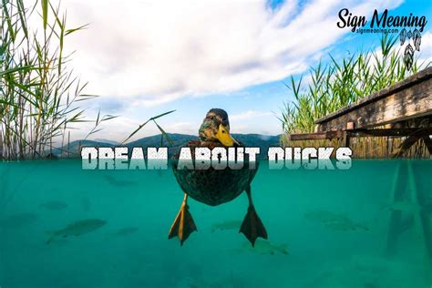 Duck Dreams: Exploring the Symbolic Meaning of Waterfowl in the Realm of Dreams