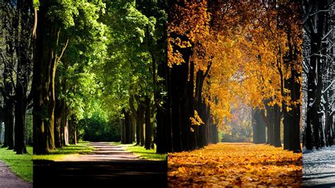 Early Life and Background of Autumn Summers