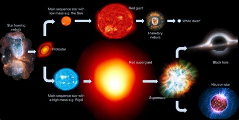 Early Life and Background of a Young Star