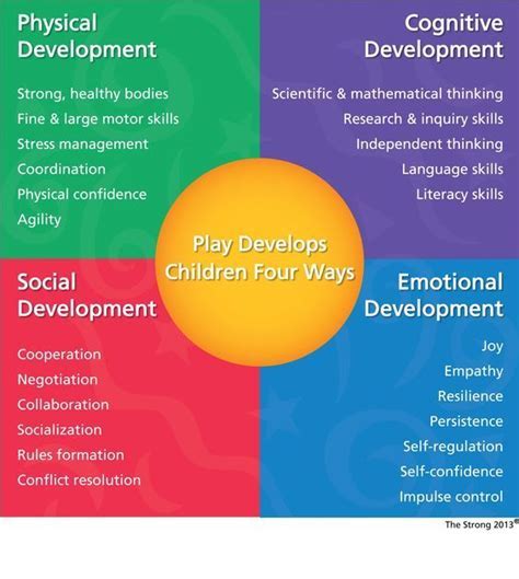 Early Life and Education Journey of the Noteworthy Personality