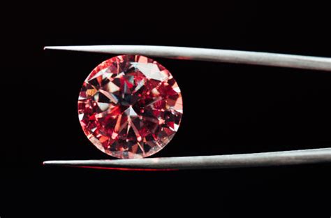 Early Life and Education of Diamond Red