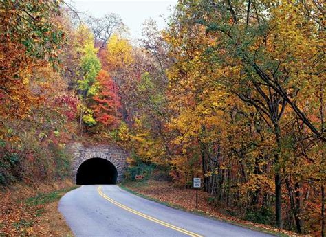 Early Life and Educational Background of Virginia Tunnels