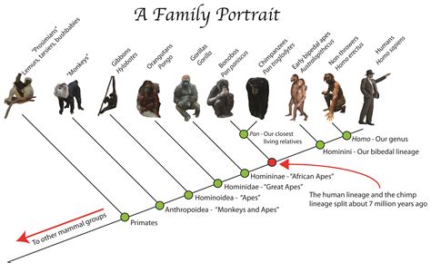 Early Years and Ancestral Heritage