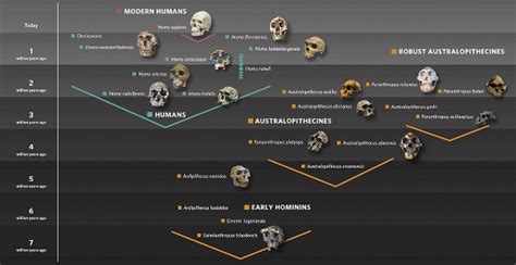 Early Years and Ancestral History