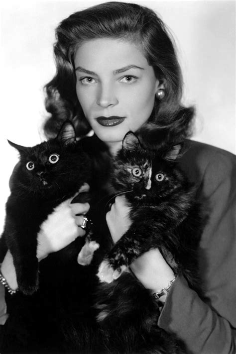 Early Years of the Feline Celebrity