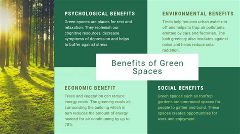 Ecological Benefits of Urban Green Spaces