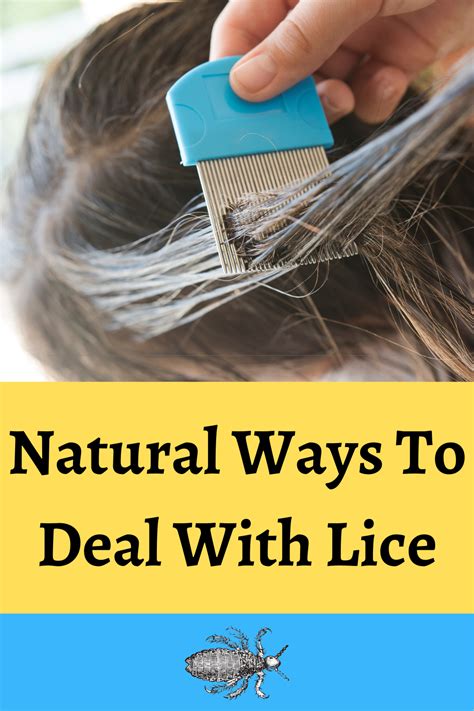 Effective Over-the-Counter Solutions for Dealing with Lice Infestation