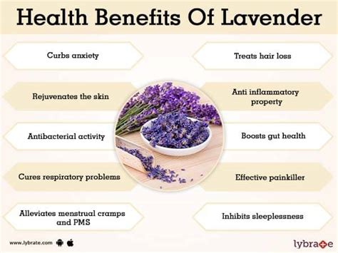 Effects of Dreaming about Lavender and Ivory Blossoms on Your Daily Life