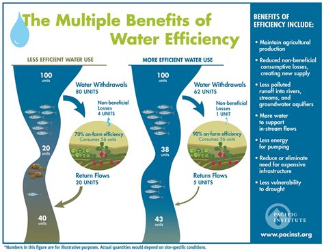 Efficient Watering: Saving Time and Resources