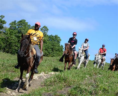 Embarking on an Unforgettable Journey: Discovering Breathtaking Locations for Horseback Riding Escapes