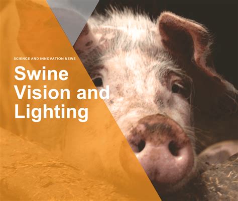 Embracing Resilience: Discovering Strength through a Vision of a Young Untamed Swine