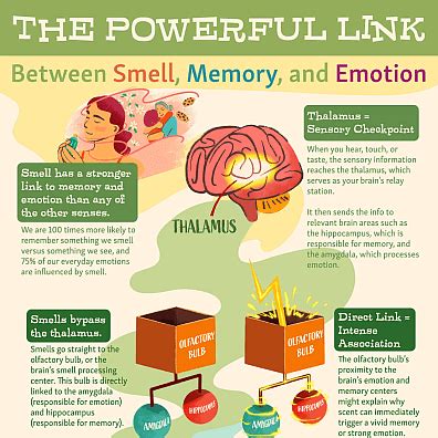 Emotions and Memories: The Link to Unpleasant Food Dreams