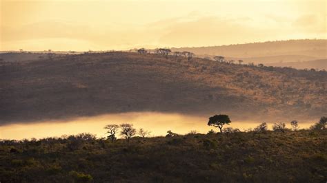 Enchanting Photos of the Stunning African Paradise: Explore the Mesmerizing Scenery