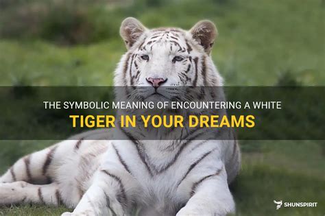 Encountering a Tiger in a Dream: Significance and Interpretation