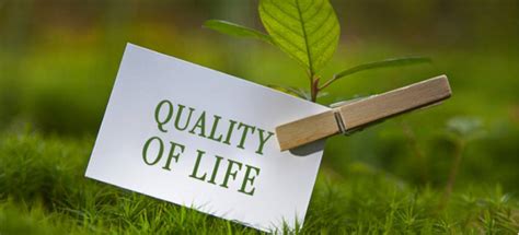 Enhancing Quality of Life: The Impact of Community Support