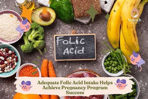 Ensuring Adequate Folate Intake