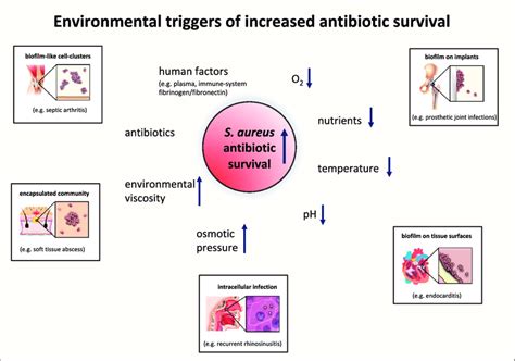 Environmental Triggers