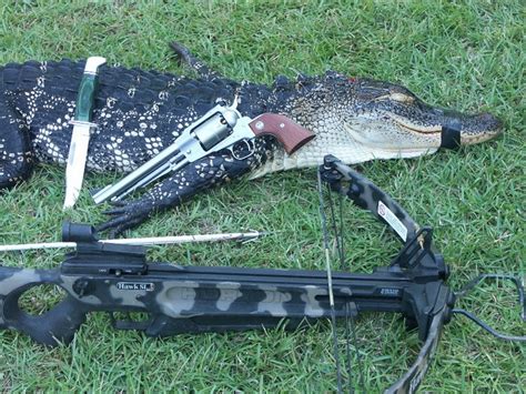 Essential Gear and Equipment for Alligator Pursuits