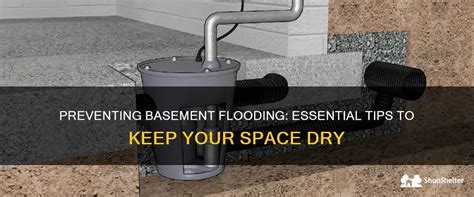 Essential Steps for Preventing Basement Flooding