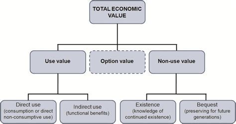 Estimating the Total Value of Serina Vixen