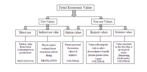 Evaluation of Devon Taylor's Financial Value