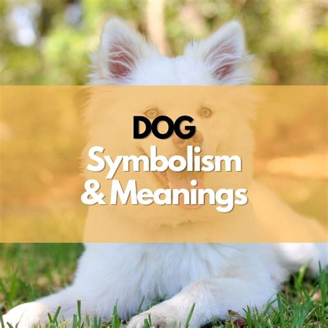 Examining the Cultural and Historical Interpretations of Canine Symbolism