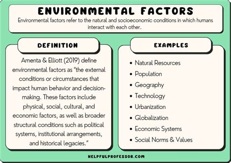 Examining the Influence of Environmental Factors on Dreaming of Unclean Precipitation